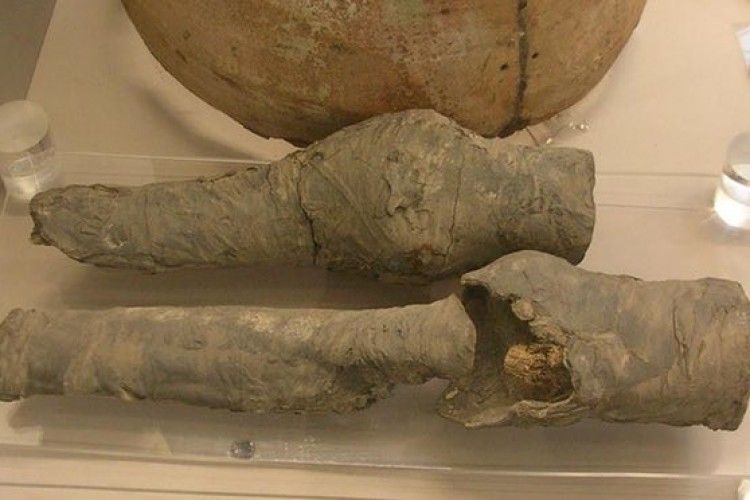 Знайшли коліна цариці Нефертарі