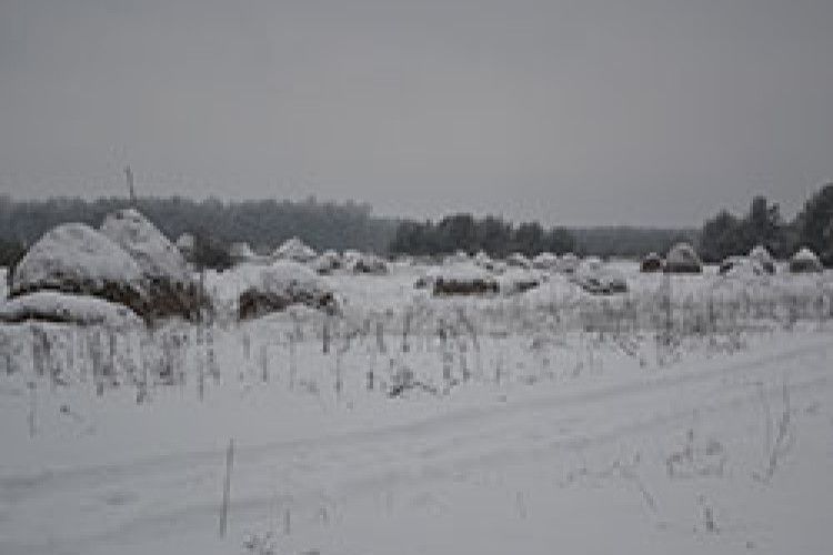 ЗЕМЛЯ МОЯ: автентична архаїка  поліського села