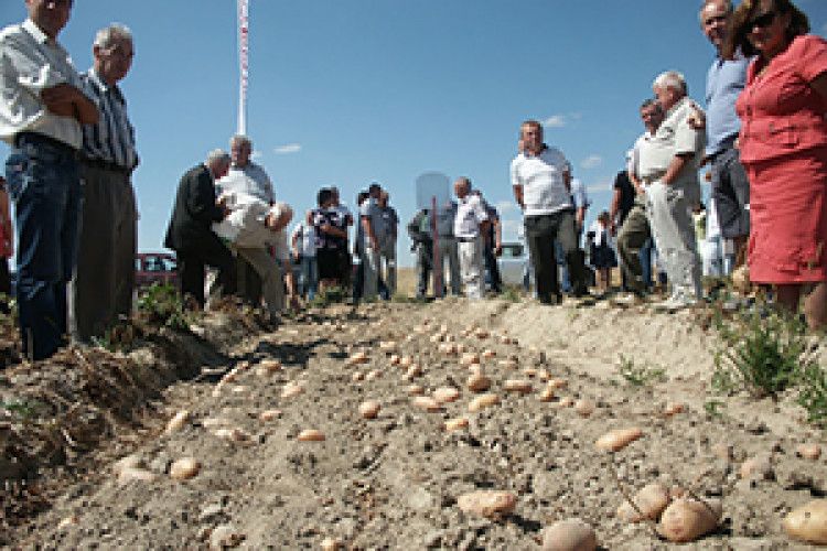 МАЛЕНЬКИЙ БІОЗАВОД ДЛЯ ОРГАНІЧНОЇ КАРТОПЛІ*