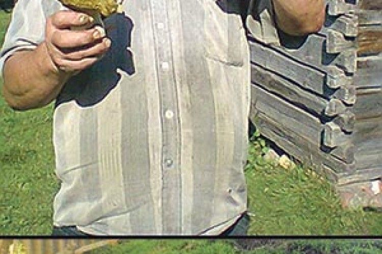 СТОЯВ НА МІЦНІЙ НІЖЦІ, ТЕПЕР ЛЕЖИТЬ У КОЗУБІ