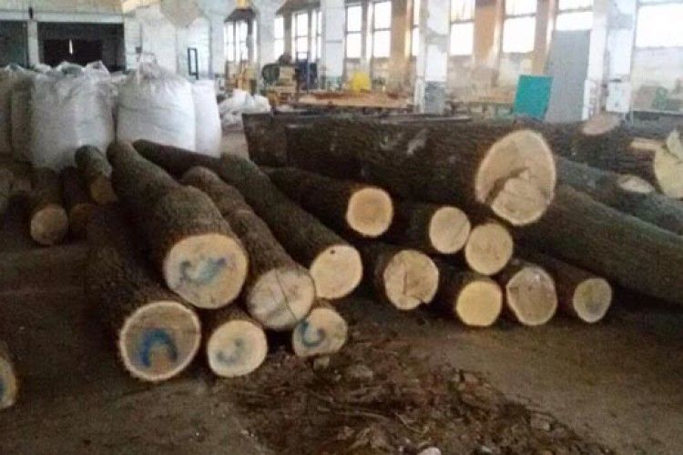 На волинському підприємстві виявили незаконну продукцію з деревини на суму понад 100 тисяч гривень (ФОТО)