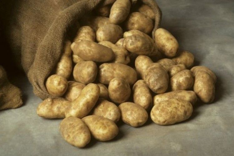 Цьогоріч її багато, але якість засмучує!