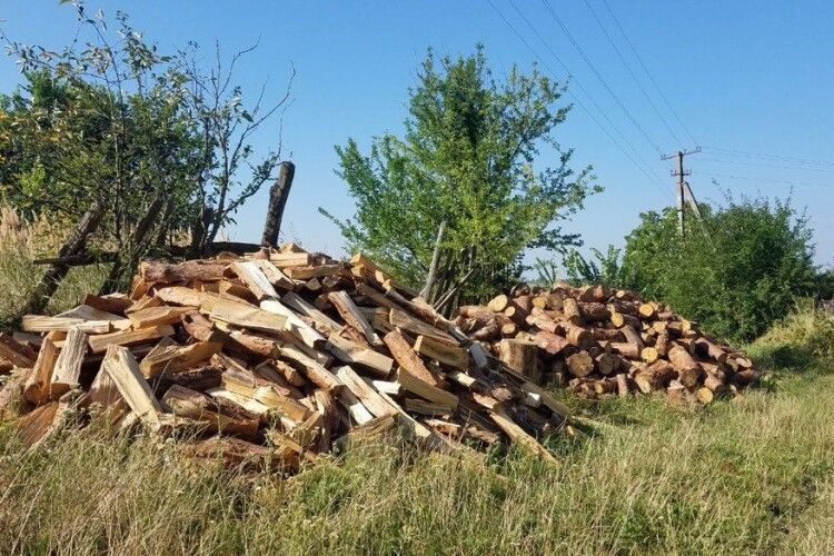 Жителів Рівненщини ошукали на закупівлі дров: представлялися, що з волинського лісгоспу