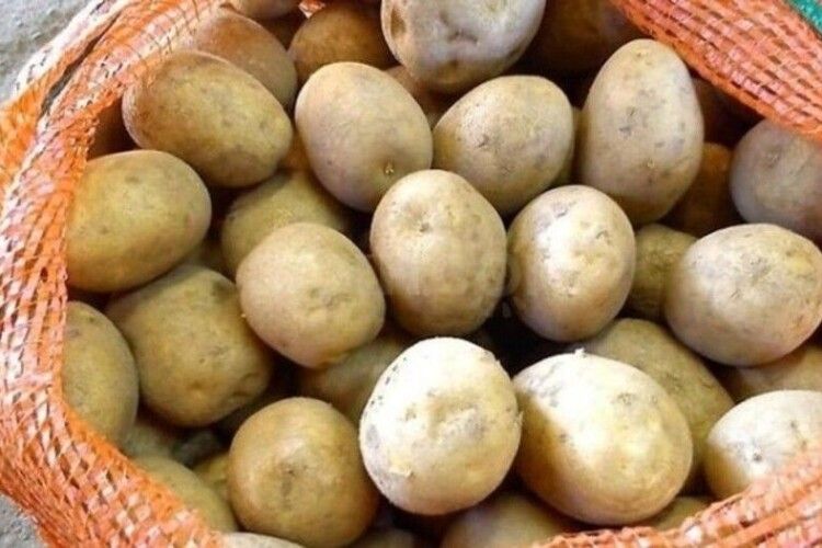 Експерт розповів, якими будуть ціни на картоплю