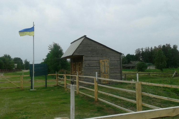 З першого липня жителів прикордонних сіл пускатимуть у Білорусь збирати чорниці
