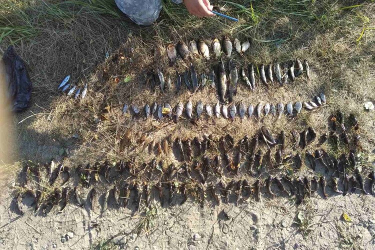 У серпні браконьєри на Волині наловили десятки кілограмів риби (Фото)