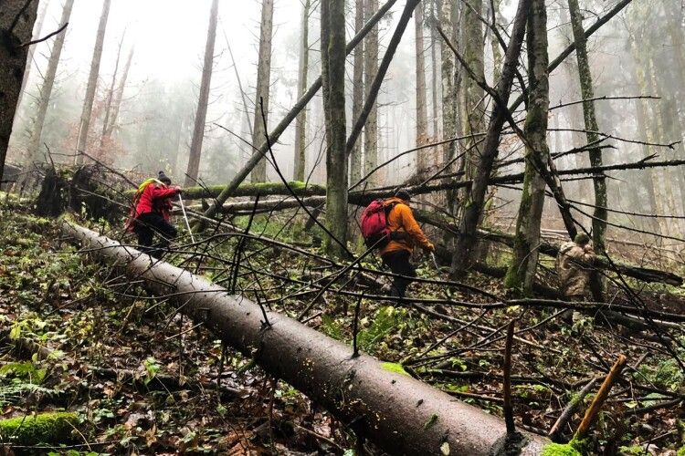 На Закарпатті чоловік блукав у горах чотири доби
