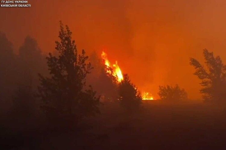 На Київщині спалахнули потужні лісові пожежі: запах гару дістався столиці