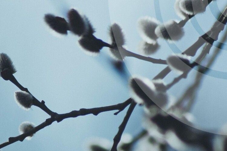 Якою буде погода на Волині