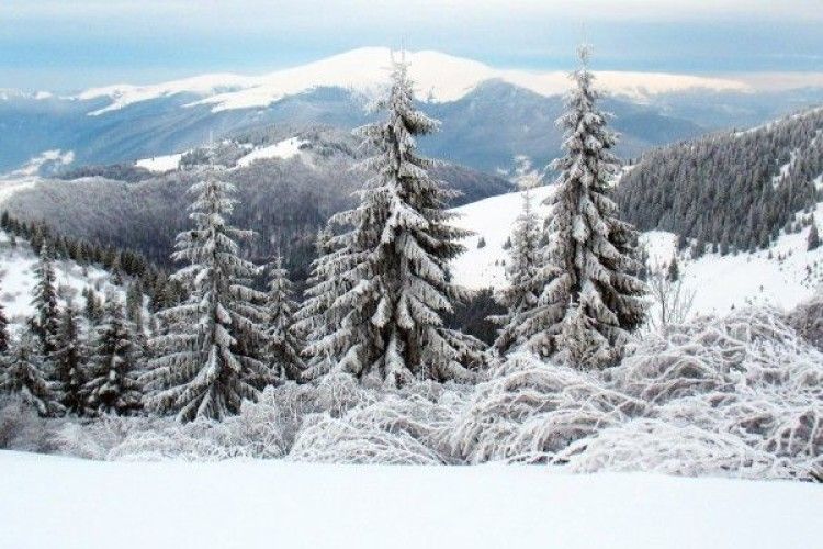 Зниклого чотири дні тому в Карпатах туриста таки знайшли