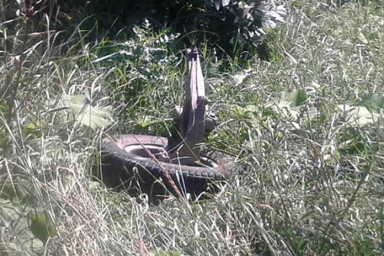 На волинських дорогах такі ями, що колеса вириває «з м’ясом»