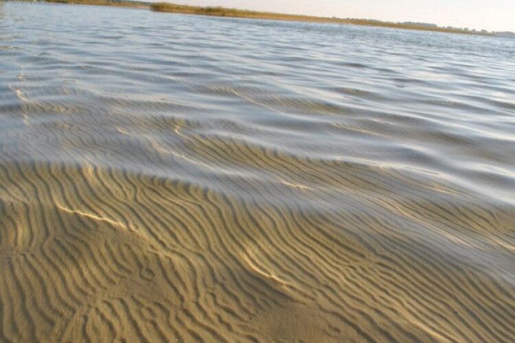Озеру Світязь залишилось 50 років життя