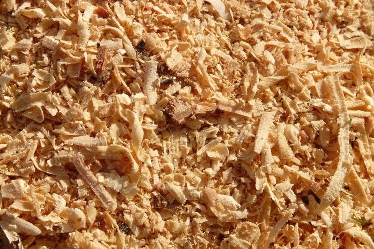 «Будемо жити!»: японські вчені винайшли рецепт самогону... з тирси 