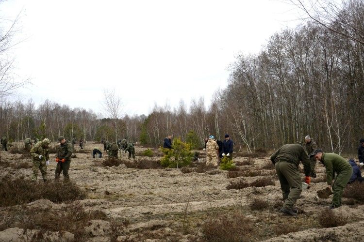 У Шацькому нацпарку садили сосни та берези (фото)