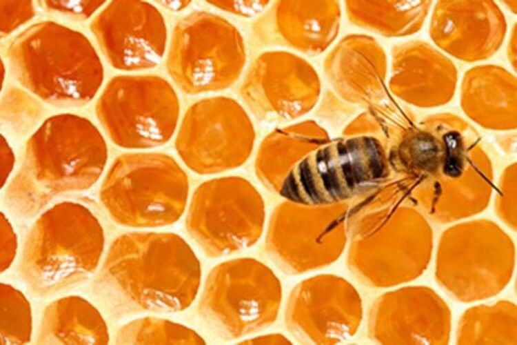 Як визначити,  чи натуральний мед