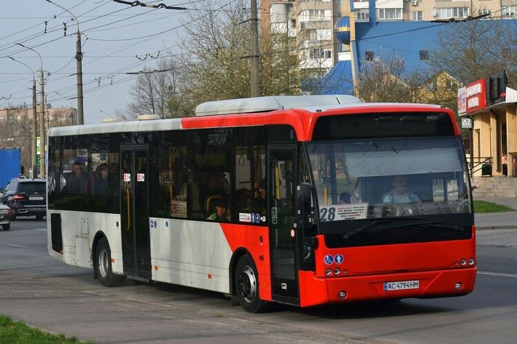 На маршруті №28 у Луцьку з'явилися нові автобуси в унікальному фарбуванні