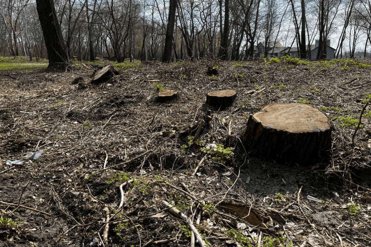 Посадовцю з Волині загрожує термін за «лису» трасу