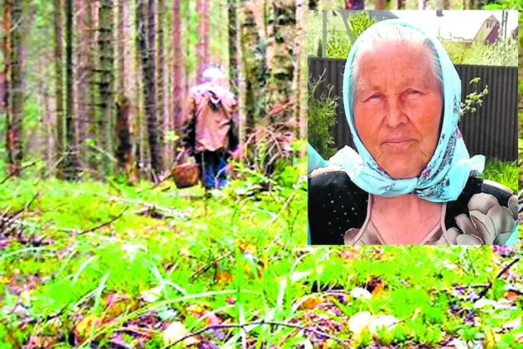 79-річна «бабуся-спецназ» дві ночі провела на дереві