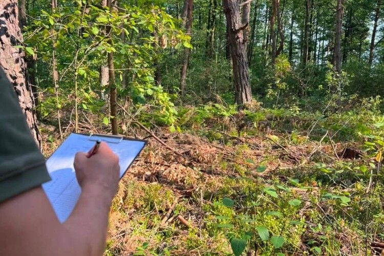 У трьох громадах на Волині шукають порушників довкілля
