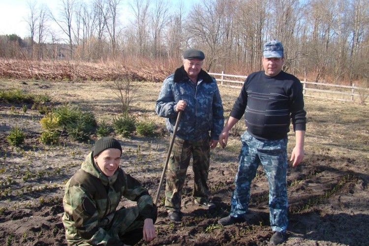 В Люб'язі живці висадили у шкілку (фото)