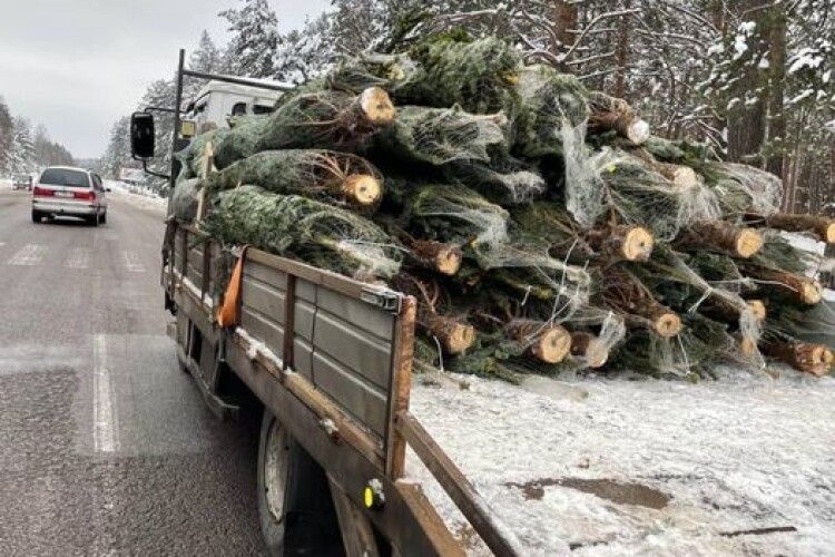 На Волині зупинили автівку з незаконним вантажем