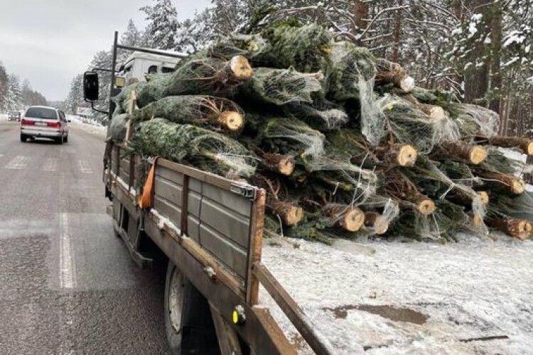 На Волині зупинили автівку з незаконним вантажем 