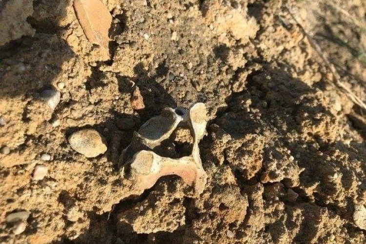 У Ковелі створять меморіальний комплекс