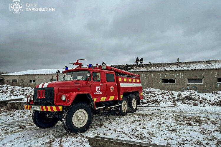 Росіяни атакували ферму під Харковом: загинула майже сотня свиней 
