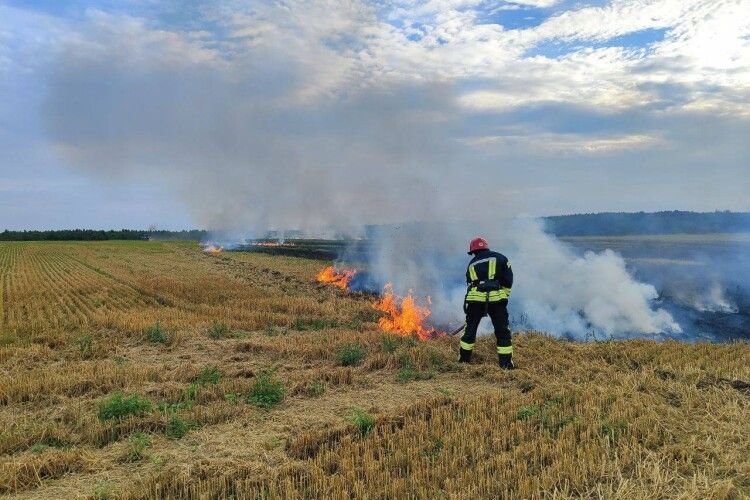 Горіли трава, стерня та сміття: на Волині загасили 4 пожежі на відкритих територіях