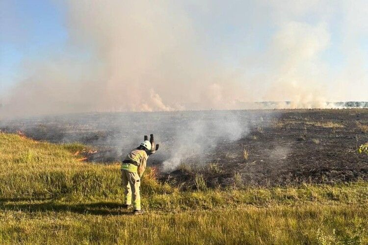 Скільки пожеж цього року уже довелося гасити у природних екосистемах на Волині 