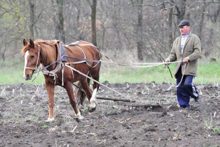 В Україні створять аграрний реєстр для надання держпідтримки одноосібникам