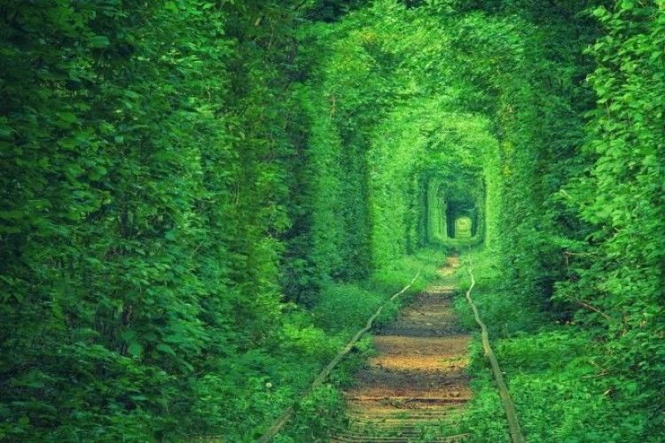 Рятувальники знешкодили дві гранати поблизу «Тунелю кохання» на Рівненщині