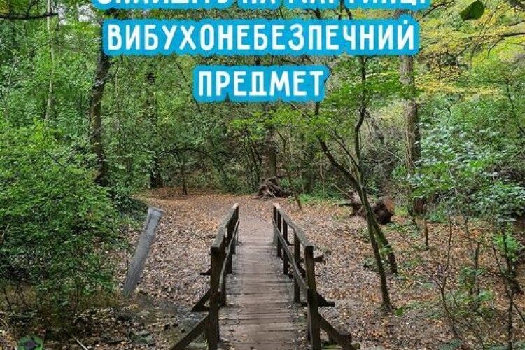Волинські рятувальники показали фото, на якому пропонують знайти вибухонебезпечні предмети (Фото)