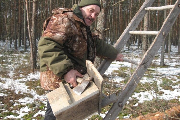 Побачив шпака – весну стрічай