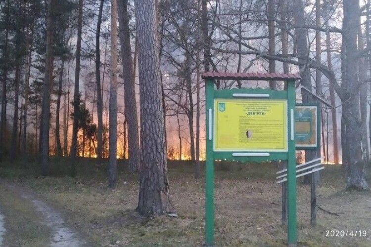 Втретє протягом квітня горів той самий ліс у Любомльському районі