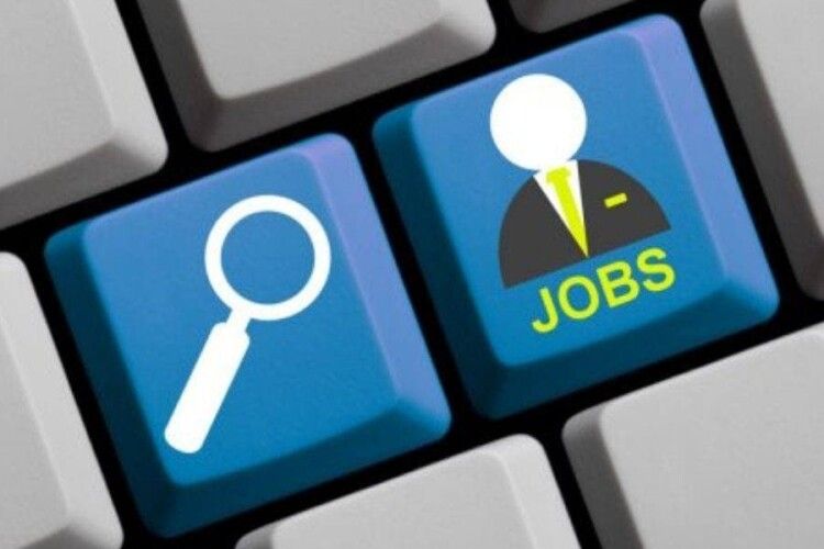 На Волині запустили телеграм-бот для пошуку роботи