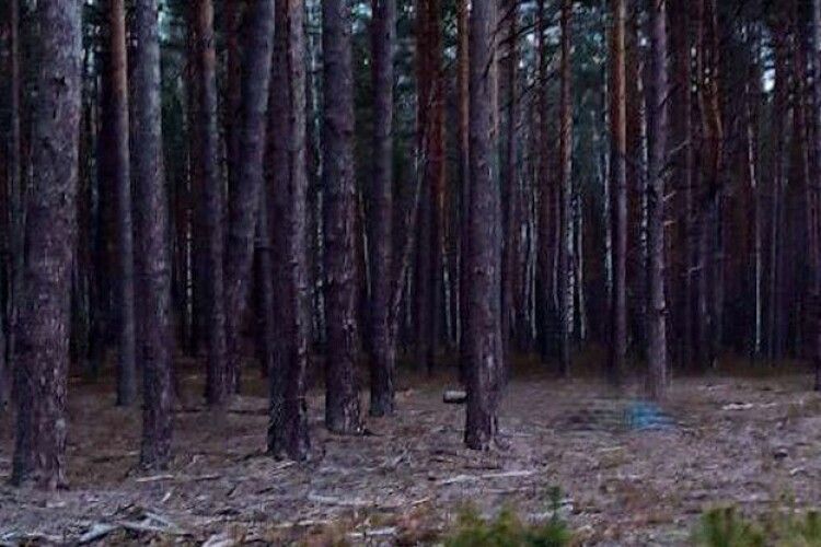 На Рівненщині чоловік на полюванні застрелив знайомого, бо прийняв за косулю – поліція