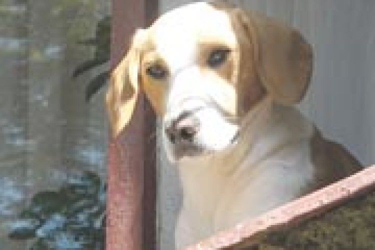 НАОДИНЦІ З ПРИРОДОЮ: порозумілися...