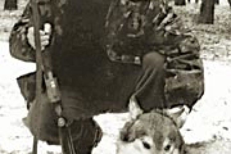 НАСТУПНИЙ ПОСТРІЛ ЧЕКАТИ У ВЕРХОВНІЙ РАДІ?