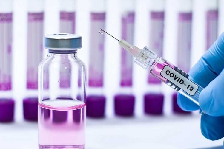 Львівську вакцину від коронавірусу спочатку випробують на мишах
