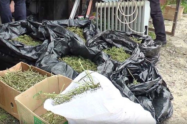 У Луцьку поліцейські вилучили 17 кілограмів наркотиків (відео)