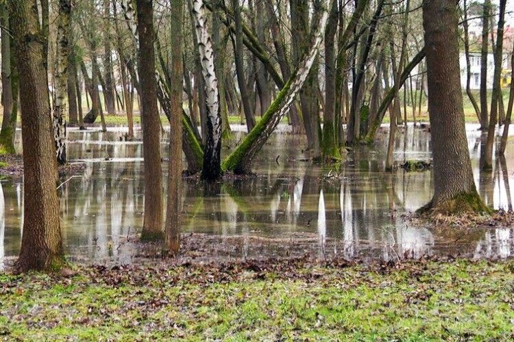 У Луцьку через рясні опади затоплена третина території центрального парку