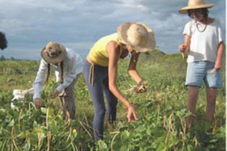 НЕЛЕГАЛИ РИЗИКУЮТЬ ВТРАТИТИ ЗАРОБЛЕНЕ