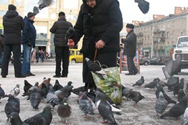 ФОТОФАКТ: у бабусі багато друзів