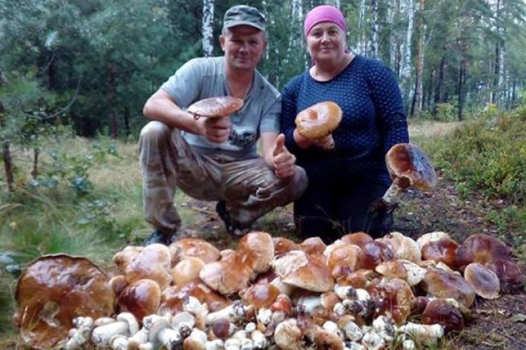 Подружжя з Любешівщини «накосило» стіжок грибів (фото)