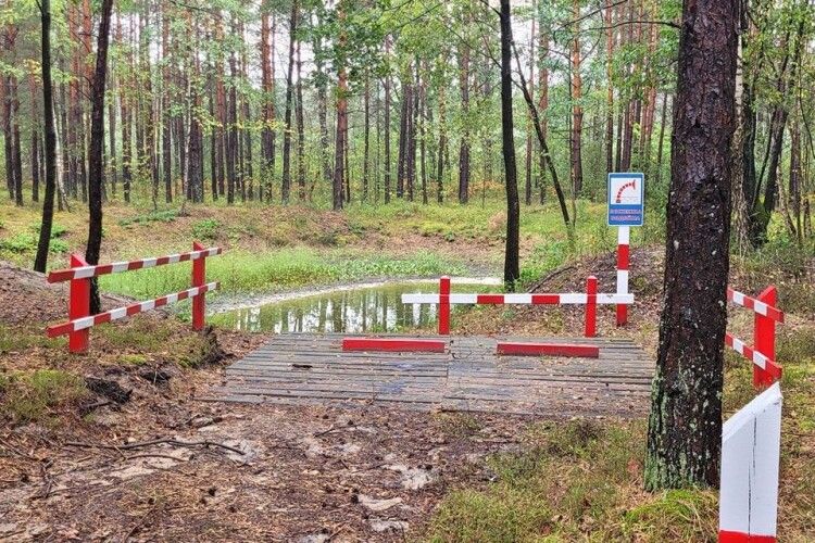 У нацпарку на Волині оновили заходи безпеки, щоб убезпечити унікальні ліси