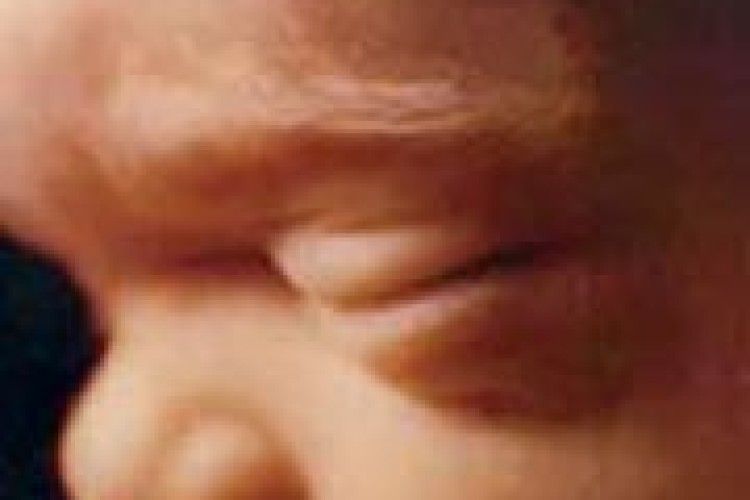 НАВІЩО ПРИХОВУВАЛИ МЕРТВОНАРОДЖЕНИХ?