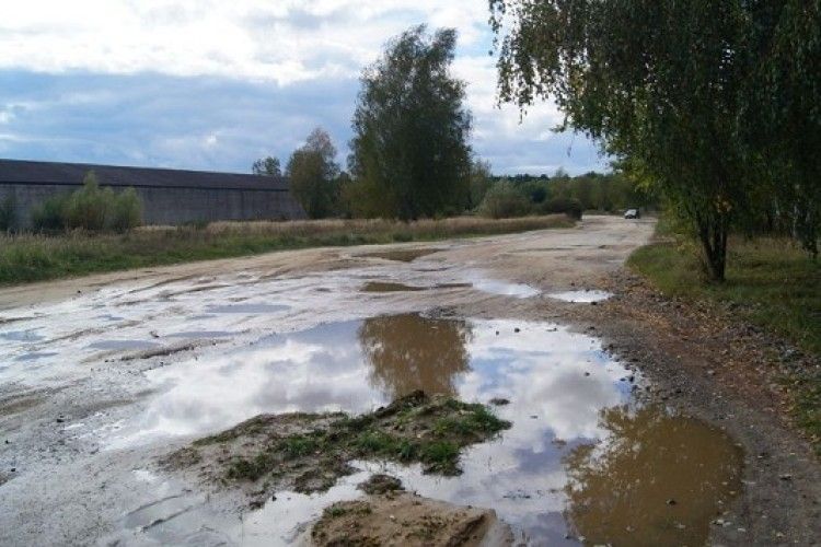 У Росії учасники весільного кортежу влаштували масову бійку через об'їзд калюжі