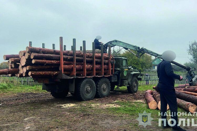 А «лісову мафію» на Волині тепер викривають з неба... дрони