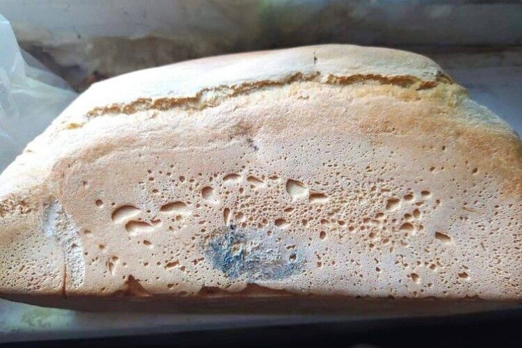 росія передала у Маріуполь «гуманітарну допомогу»: цвілий хліб і лопати